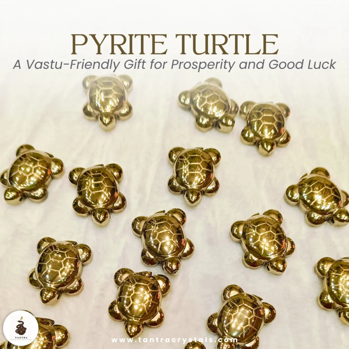 Pyrite Turtle