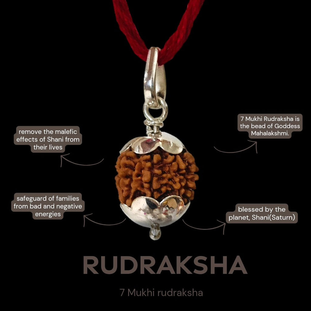 7 Mukhi Nepali Rudraksha