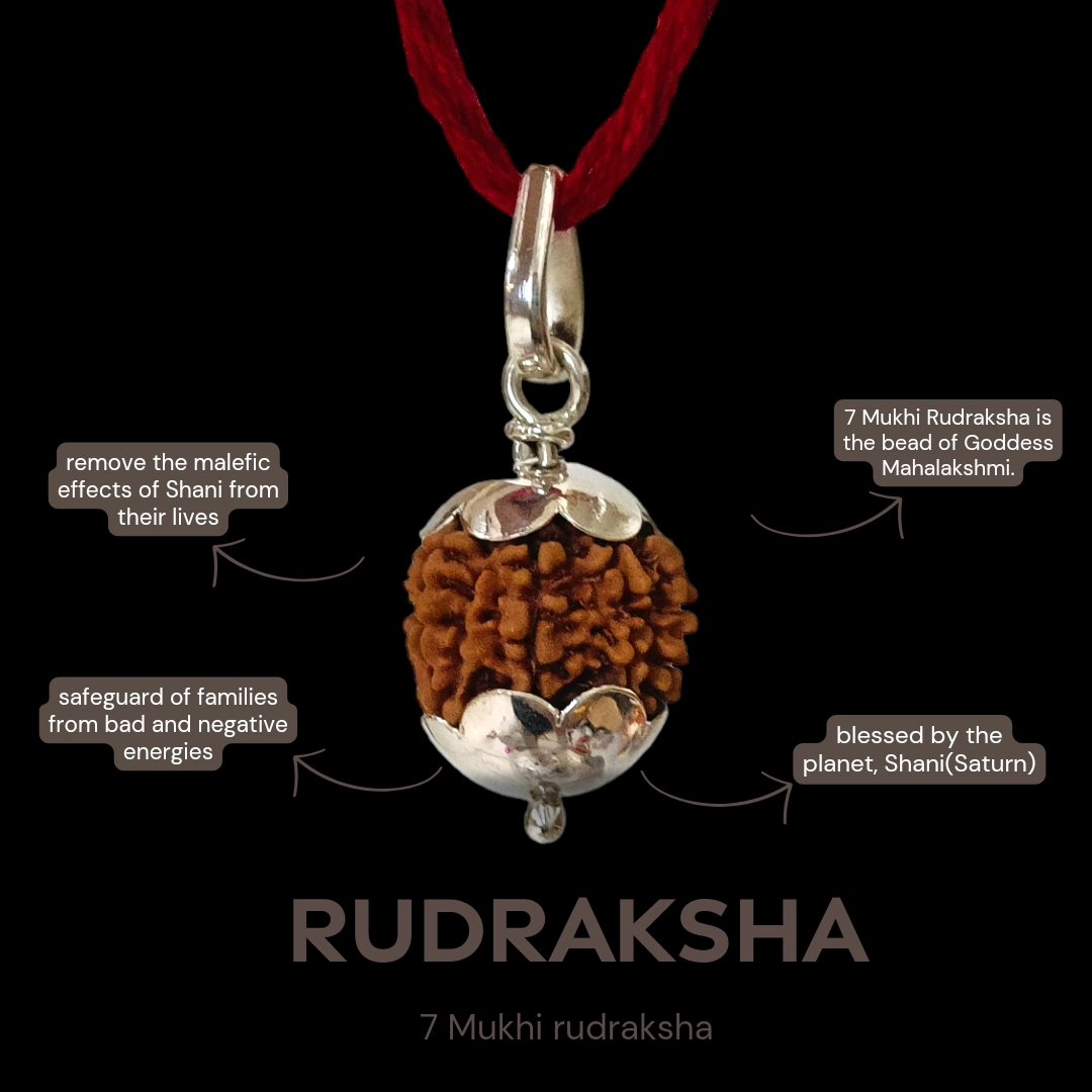 7 Mukhi Nepali Rudraksha
