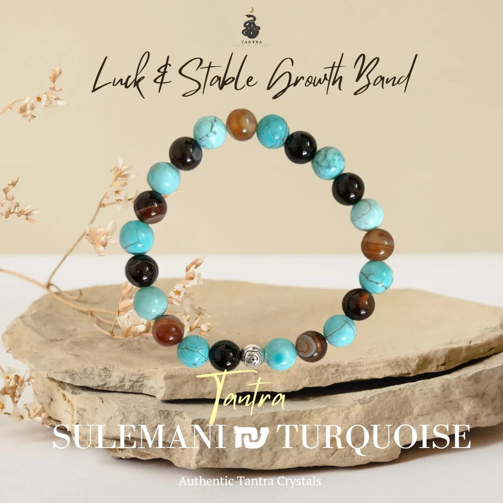 Sulemani Turquoise Luck & Stable Growth Bracelet