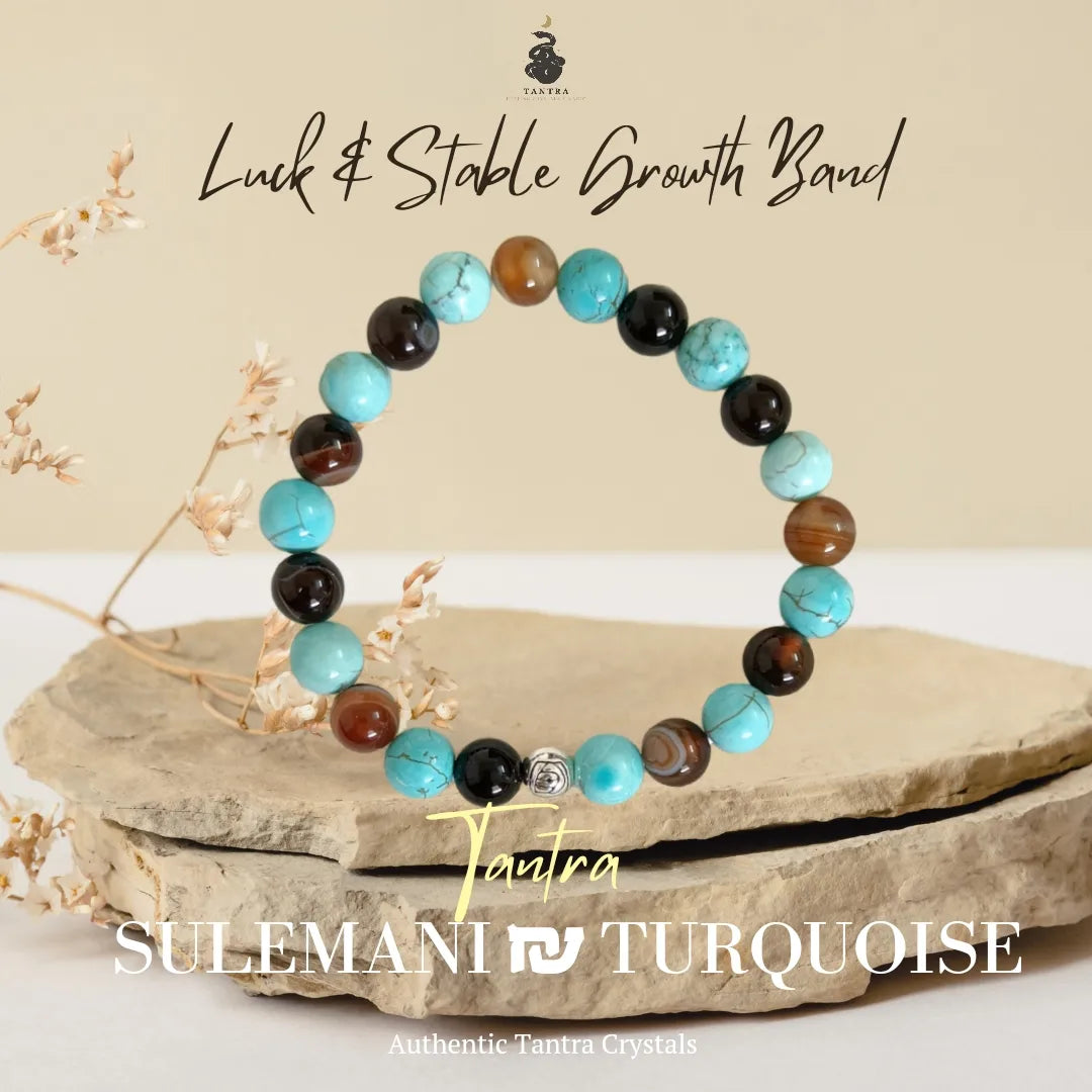 Sulemani Turquoise Luck & Stable Growth Bracelet