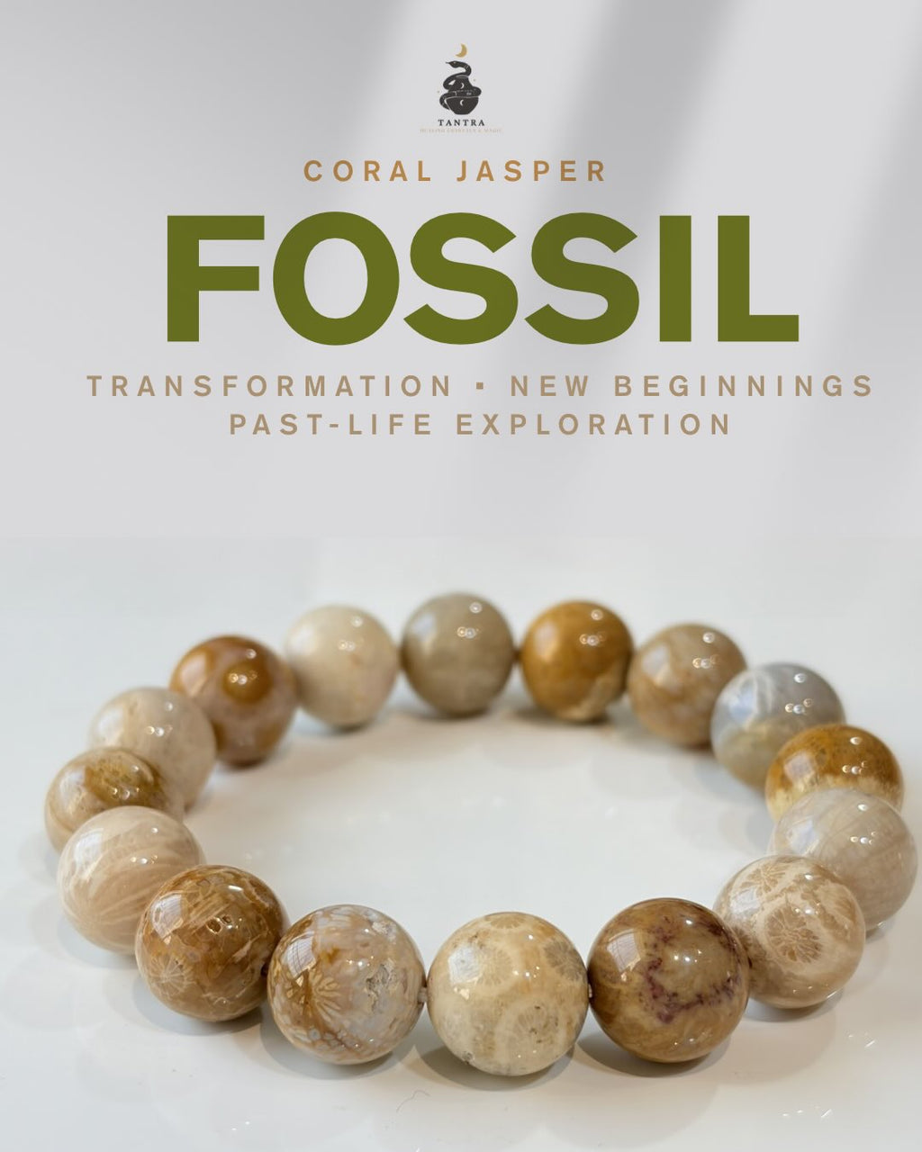 Fossil Coral Jasper Bracelet