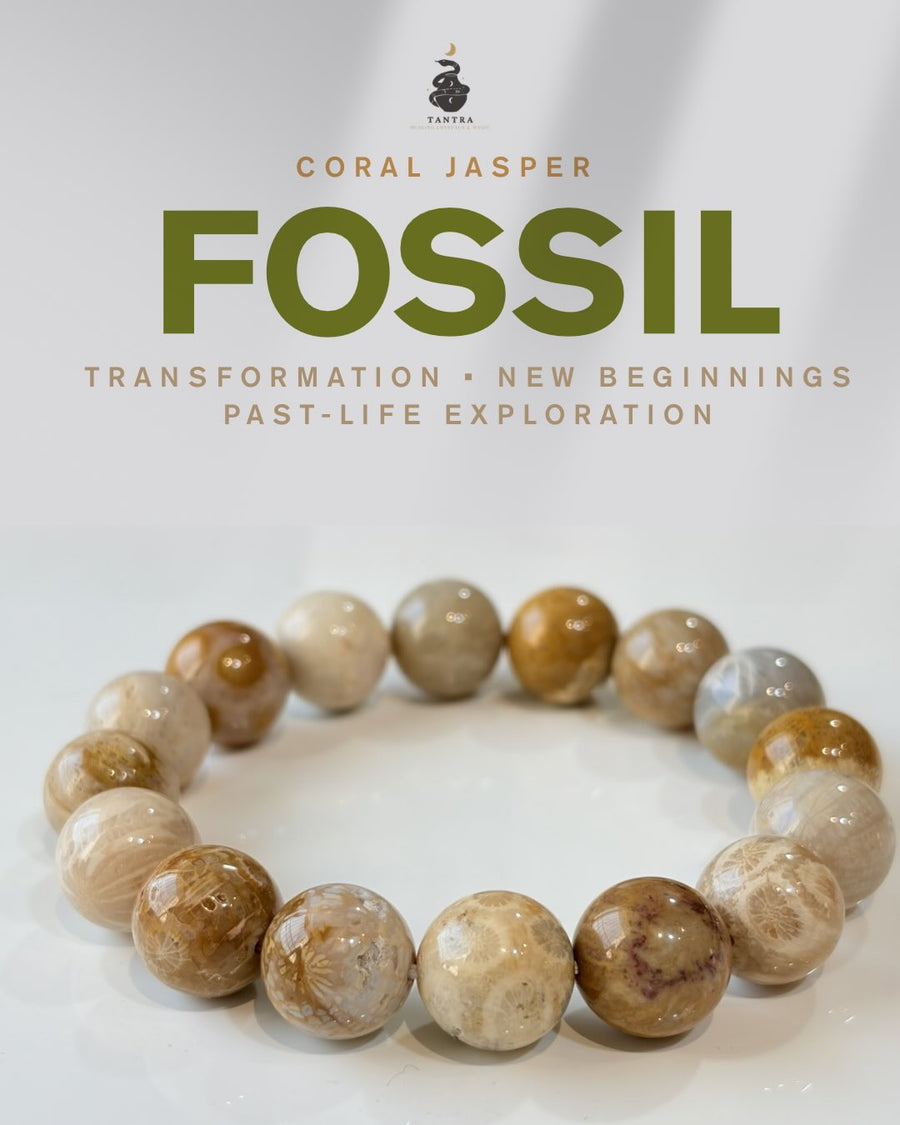 Fossil Coral Jasper Bracelet