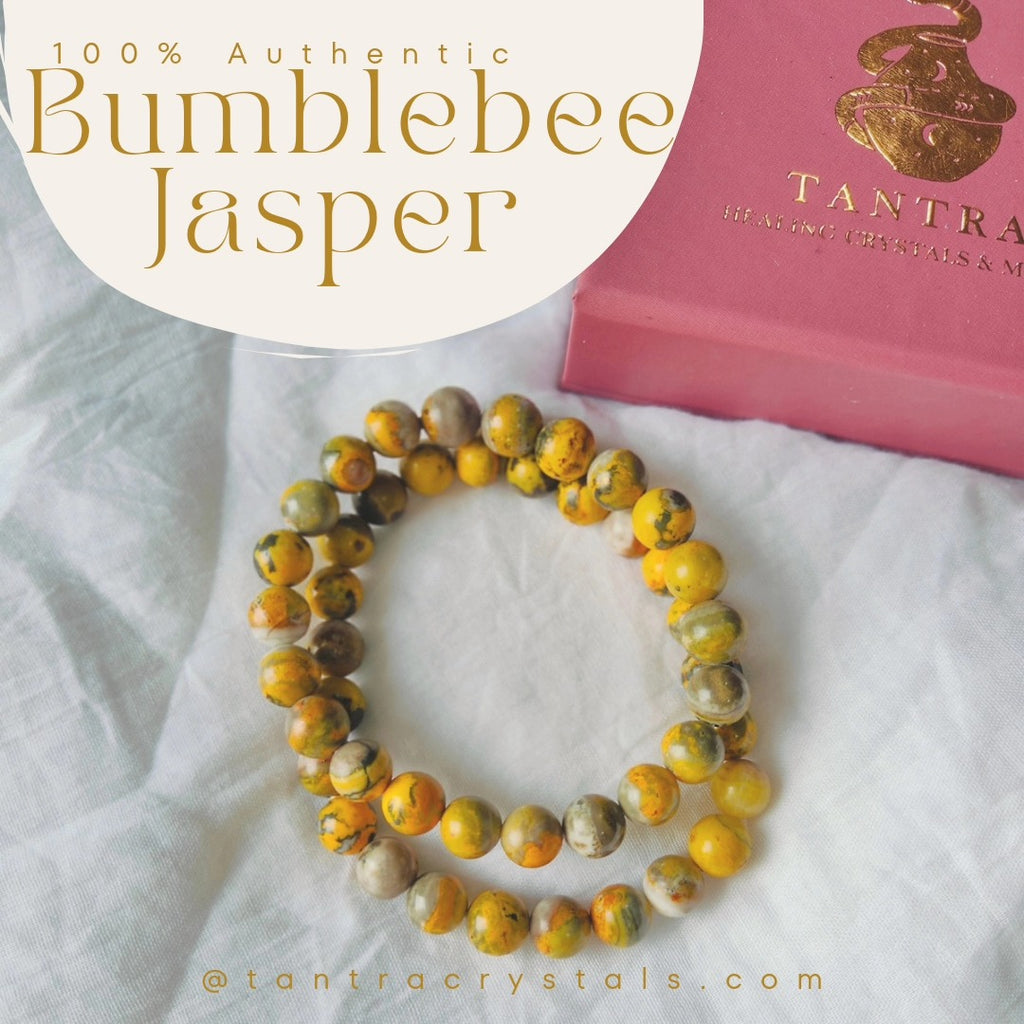 Bumblebee Jasper