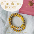 Bumblebee Jasper