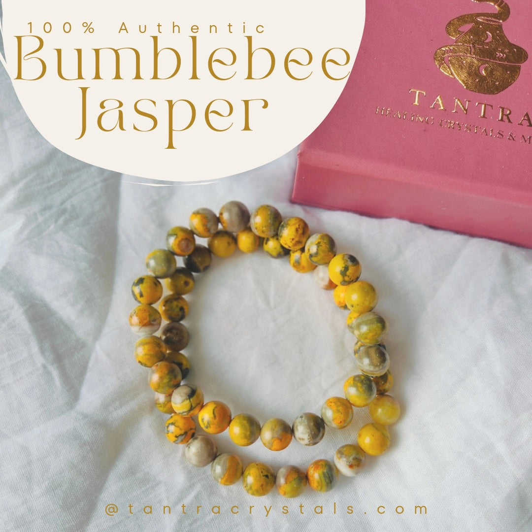 Bumblebee Jasper