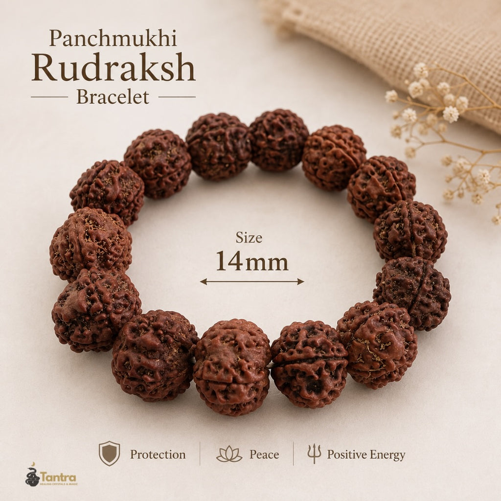 Panchmukhi Rudraksha Bracelet