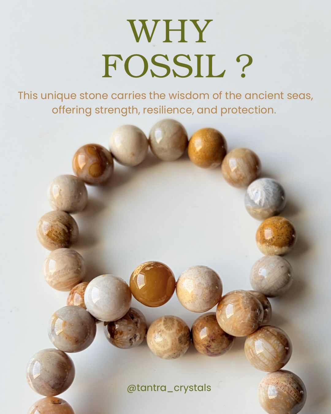 Fossil Coral Jasper Bracelet