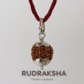 7 Mukhi Nepali Rudraksha