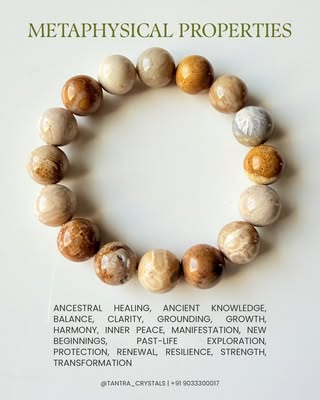 Fossil Coral Jasper Bracelet
