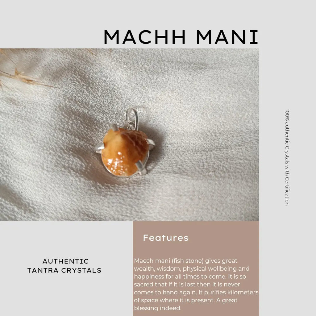 Macch Mani (Fish Stone)