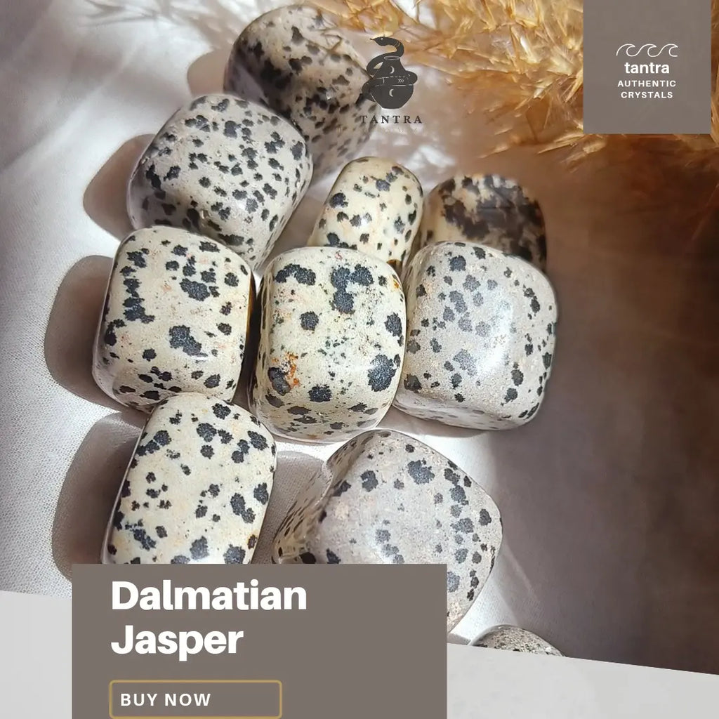 Dalmatian Jasper