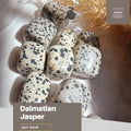 Dalmatian Jasper