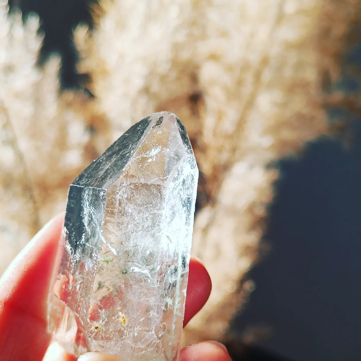 Himalayan Clear Quartz with Moss Inclusion