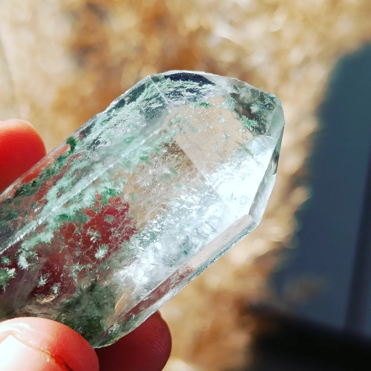 Himalayan Clear Quartz with Moss Inclusion