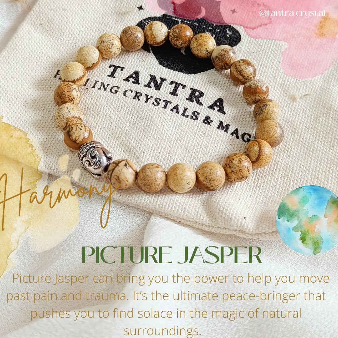 Picture Jasper Bracelet