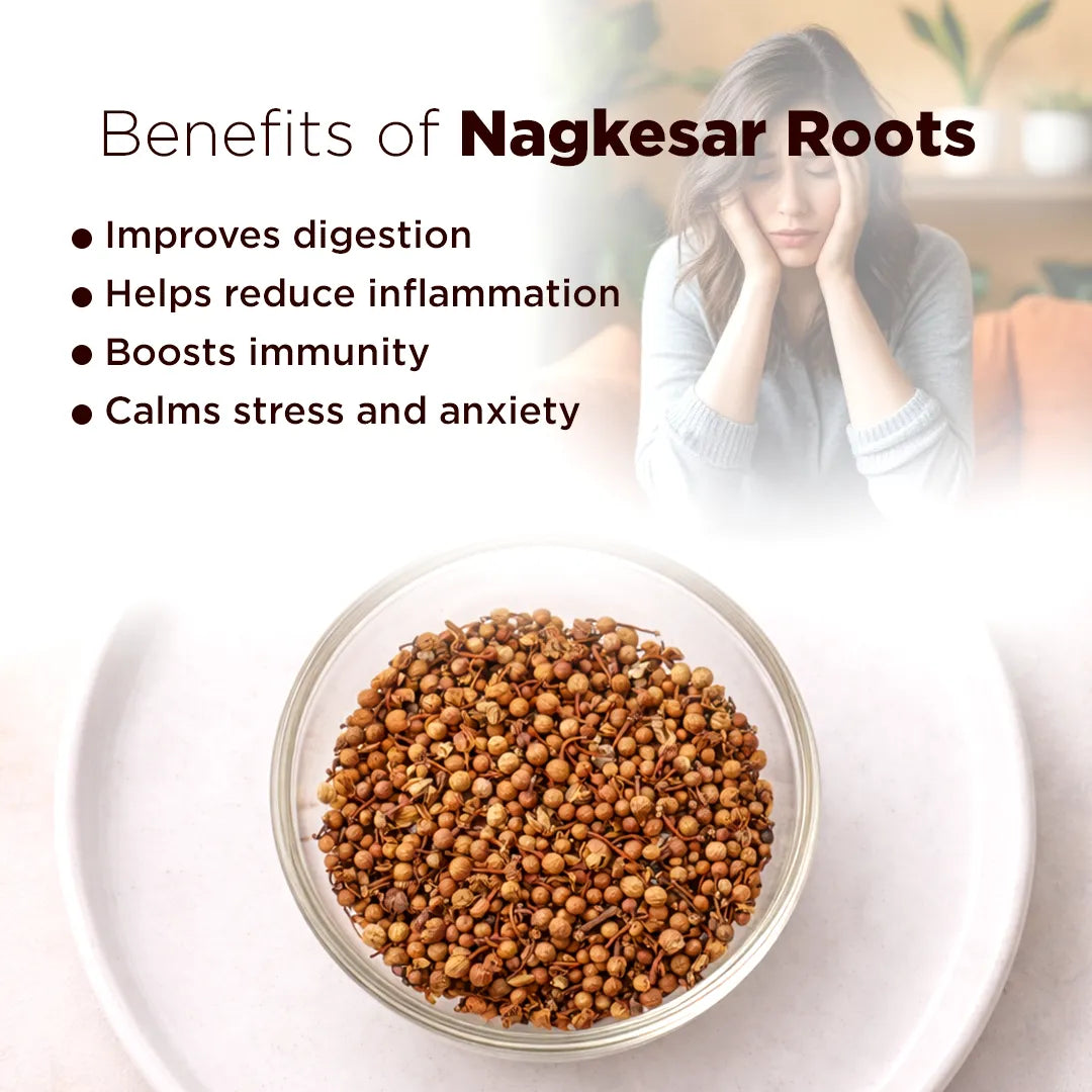 Nag Kesar Root – Prosperity, Protection & Positive Energy Remedy