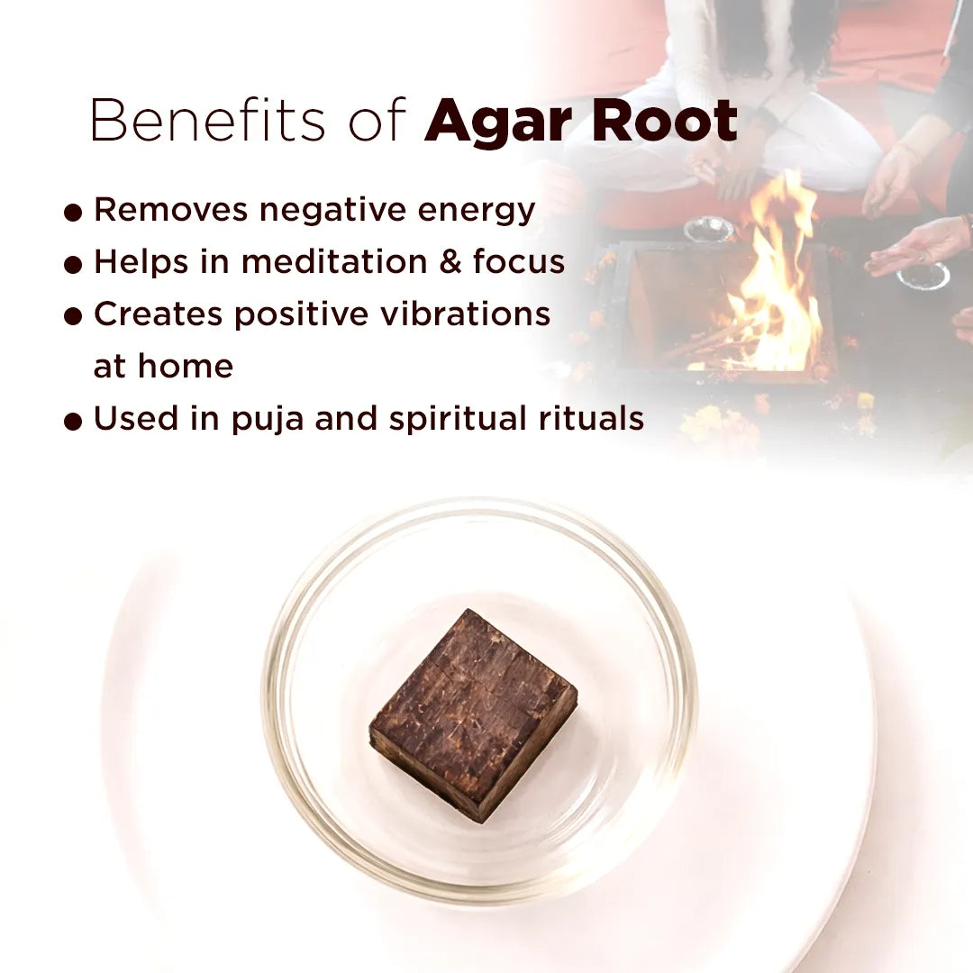 Agar Root – Fragrance, Calm Energy & Spiritual Purification Remedy