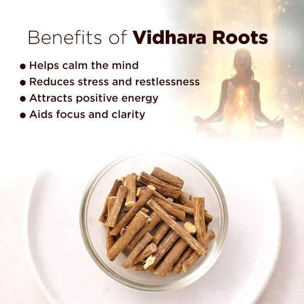 Vidhara Mool Roots – Attraction, Protection & Powerful Spiritual Remedy
