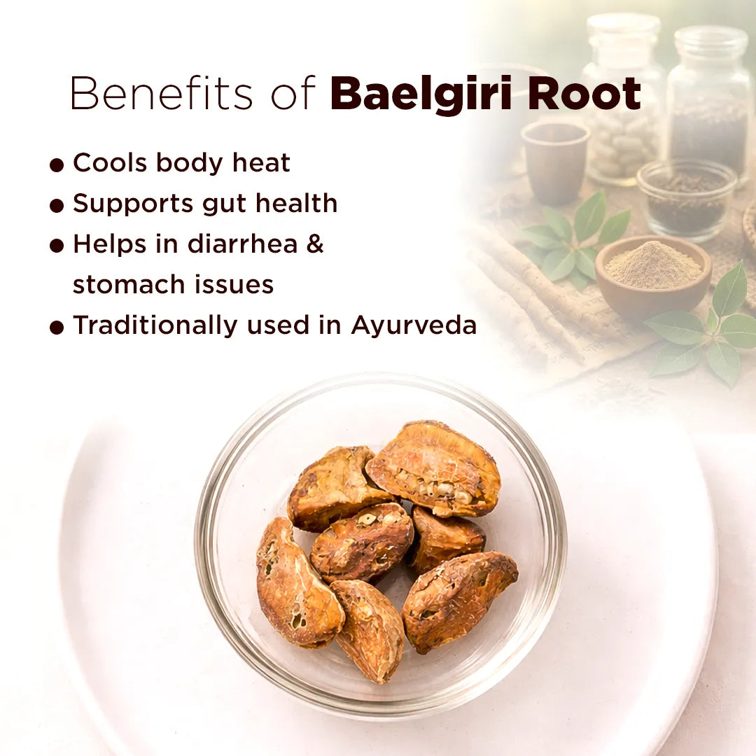 Baelgiri Root – Spiritual Strength, Stability & Protective Energy Remedy