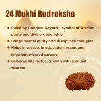 Rudraksha Beads
