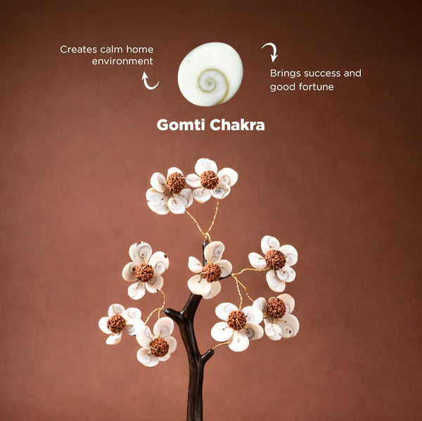 Gomti Chakra & Rudraksh Tree – Protection, Stability & Positive Energy