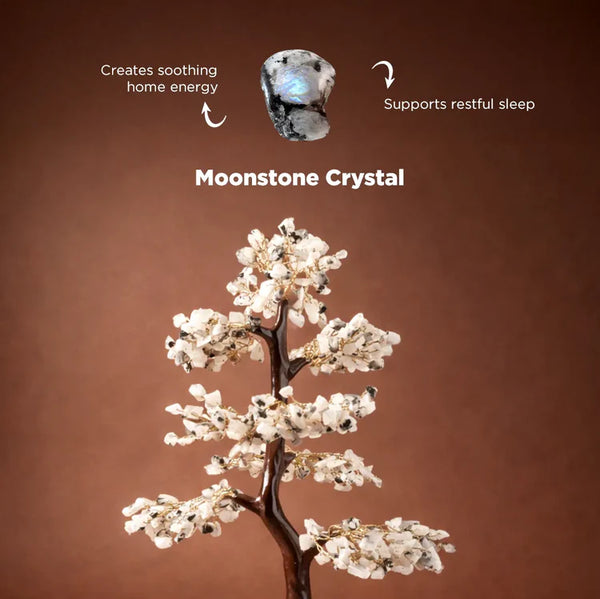 Moonstone Crystal Tree – Mental Stress Relief & Confidence