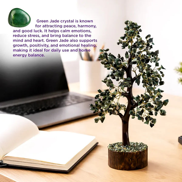 Green Jade Tree  Promotes Wealth Attraction & Money Growth