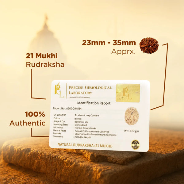 Nepali 21 Mukhi Rudraksha (Twenty-One Faced) for Wealth, Prosperity & Business Success