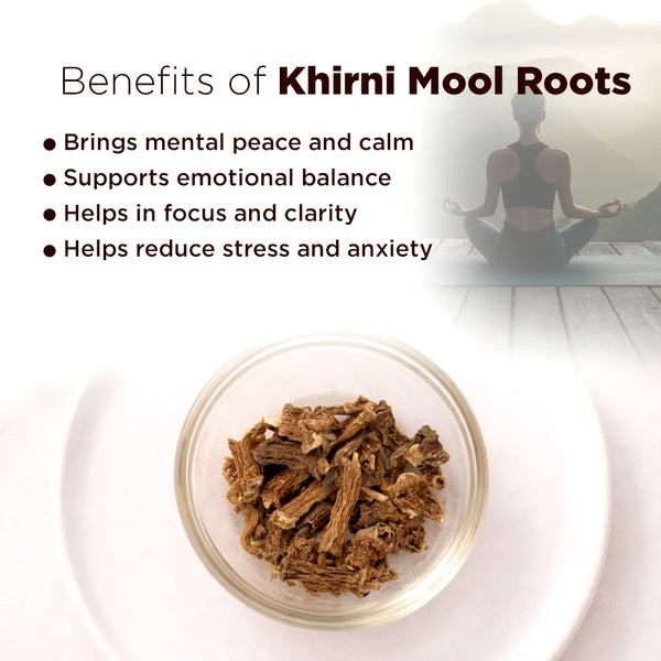 Khirni Mool Roots – Strength, Stability & Positive Energy Support