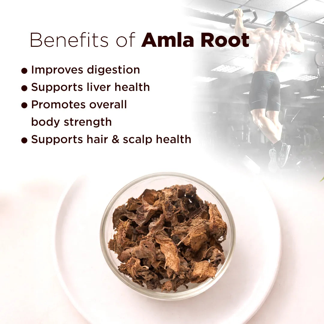 Amla Root – Vitality, Healing & Positive Energy Support