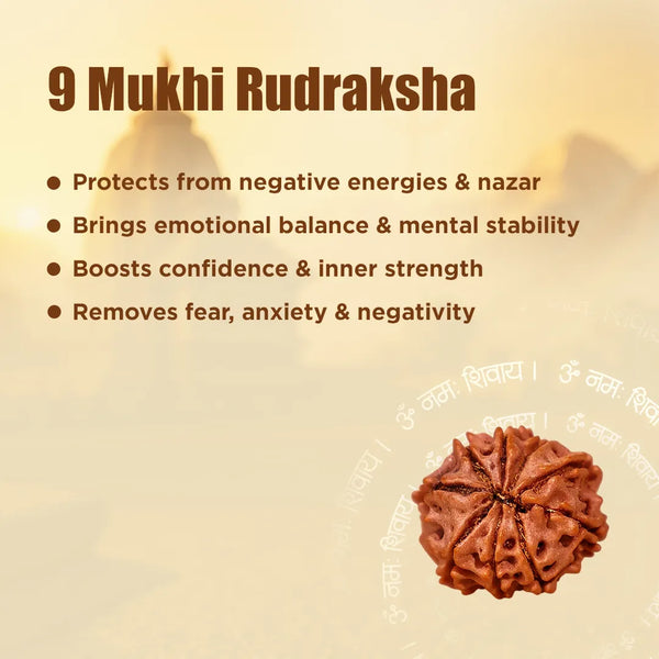 Nepali 9 Mukhi Rudraksha (Nine Faced) for Protection, Courage & Strength