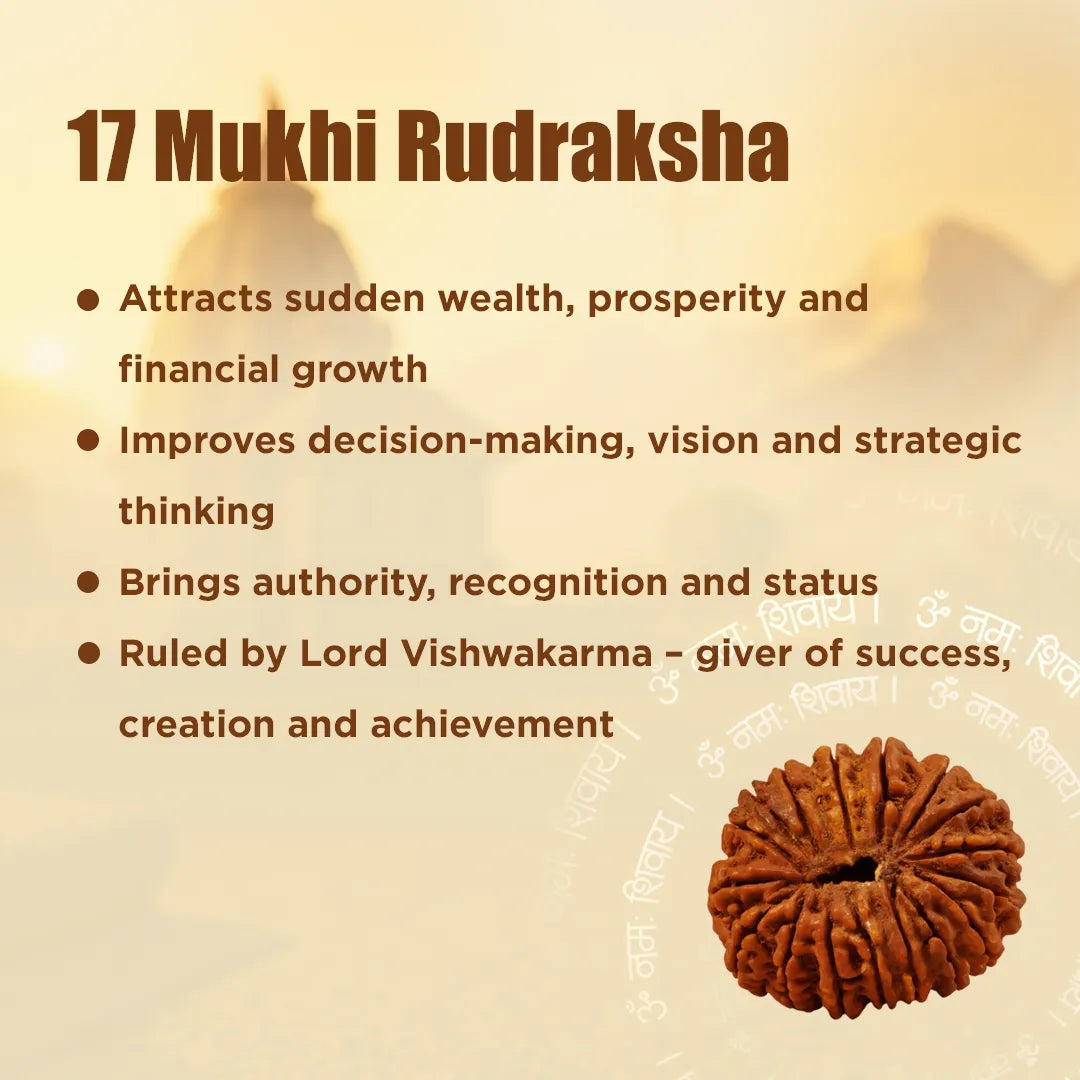 Nepali 17 Mukhi Rudraksha (Seventeen-Faced) for Wealth, Success & Manifestation