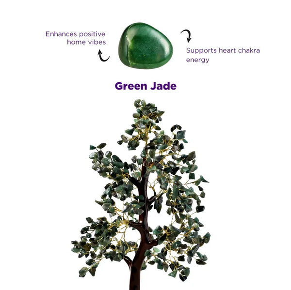 Green Jade Tree  Promotes Wealth Attraction & Money Growth