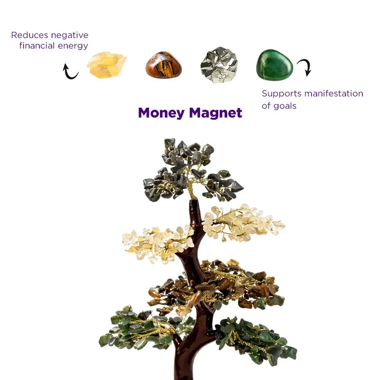 Money Magnet Tree – Wealth Attraction, Income Growth & Prosperity