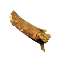 Ashwagandha Mool – Strength, Vitality & Energy Balance Root