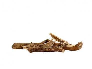 Belmool Roots – Spiritual Protection, Stability & Energy Cleansing