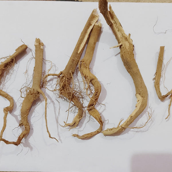 Dhatura Roots – Protection, Energy Control & Spiritual Strength
