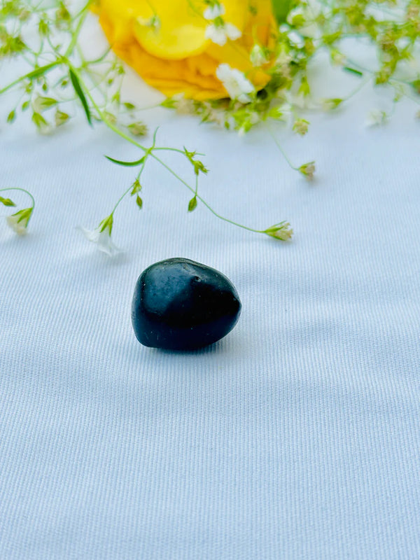 Shaligram Stone