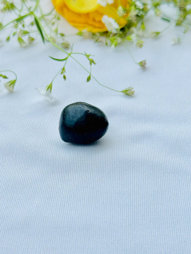 Shaligram Stone