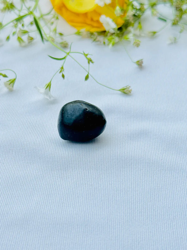 Shaligram Stone