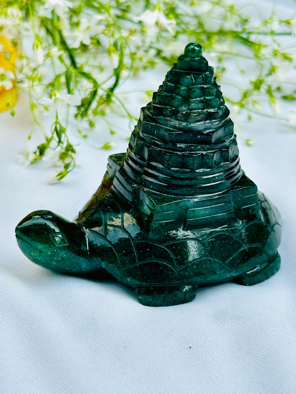 Turtle With Shri Yantra