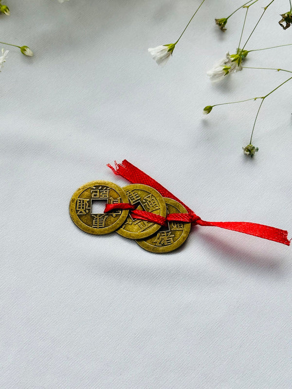 Feng shui Money Magnet coin