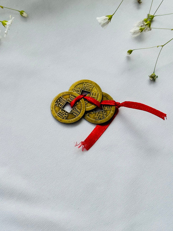 Feng shui Money Magnet coin