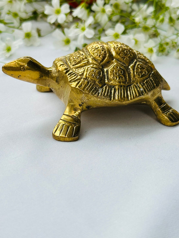Money Attract Brass Turtle Feng Shui