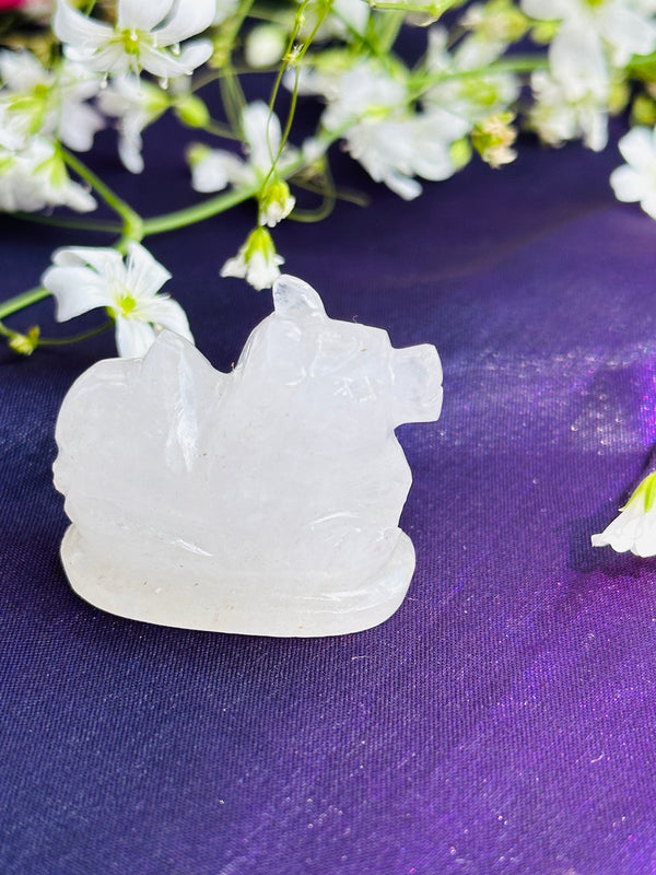 White Agate Nandi
