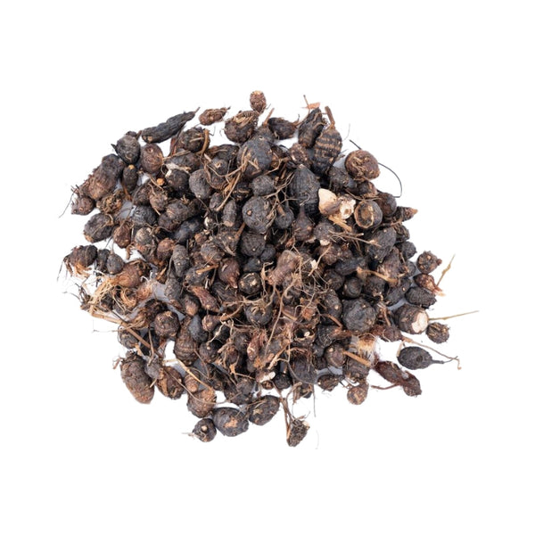 Nagarmotha Root – Calm Mind, Energy Balance & Spiritual Stability