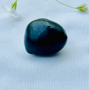 Shaligram Stone