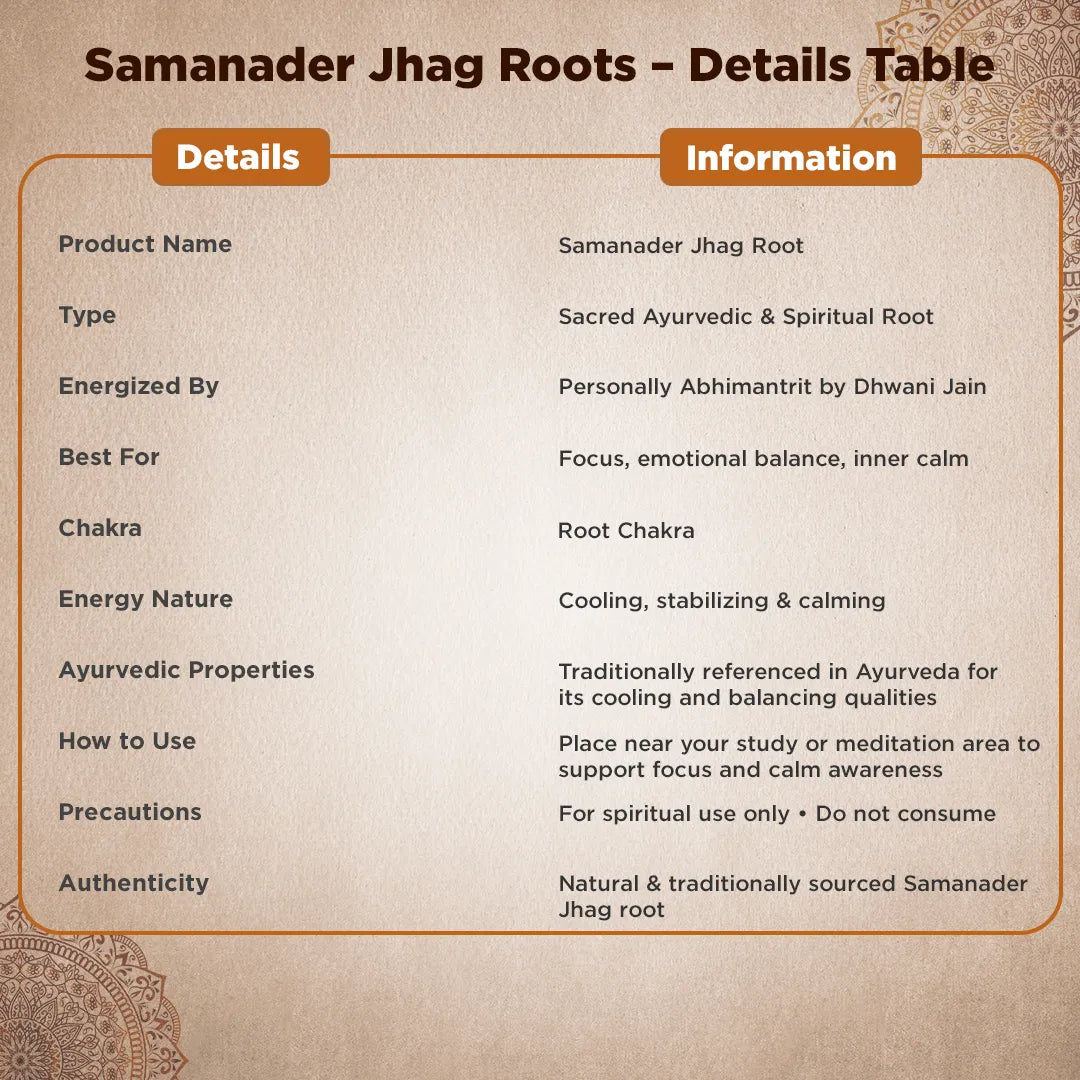 Samanader Jhag Root – Energy Cleansing & Spiritual Protection Root