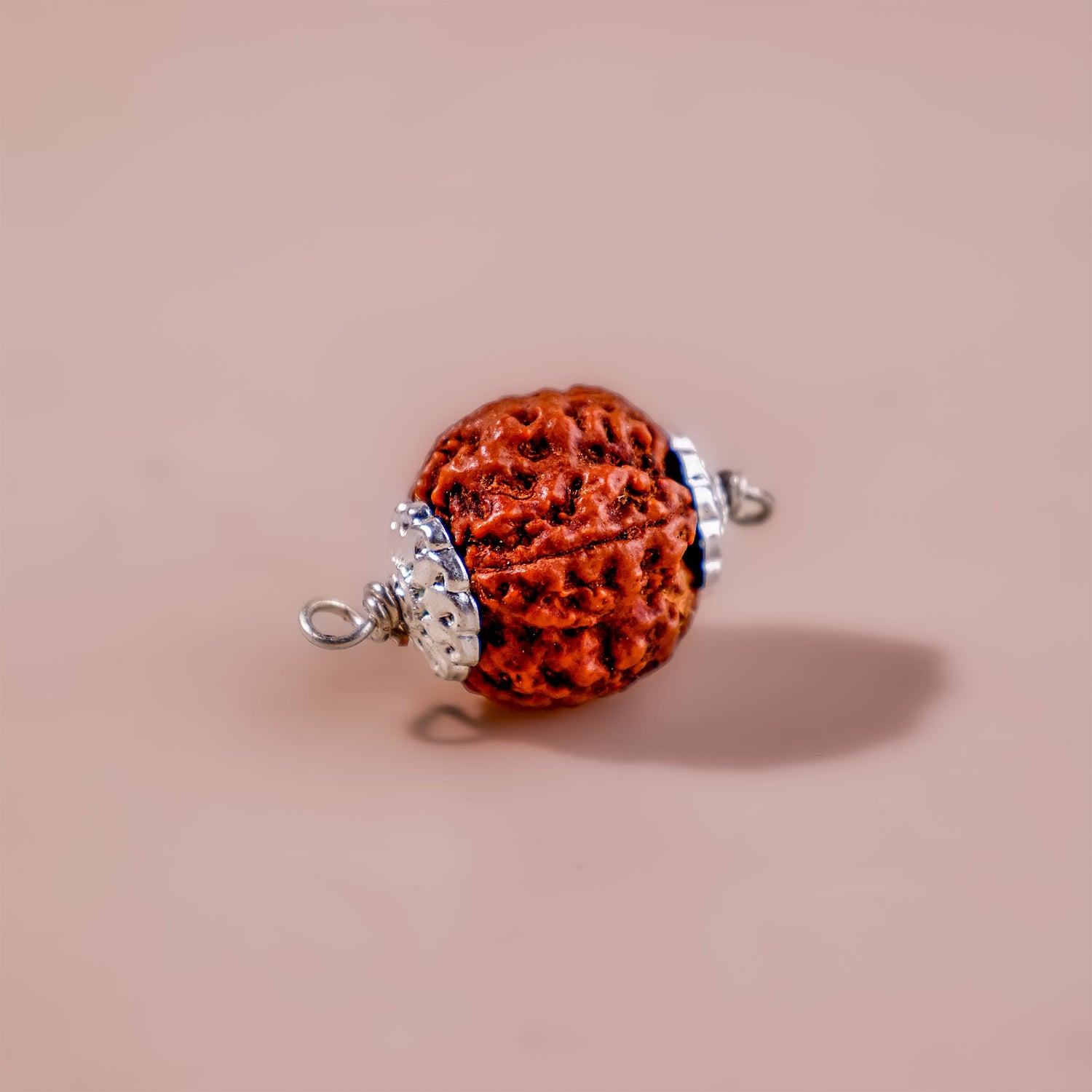 5 Mukhi Rudraksha (Five Faced)
